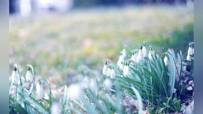 '2 март куни кутилаётган об-ҳаво маълумоти'ning rasmi