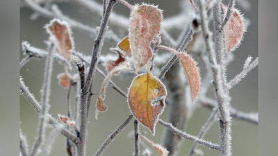Изрображение 'ПРОГНОЗ ПОГОДЫ НА 13 ЯНВАРЯ'