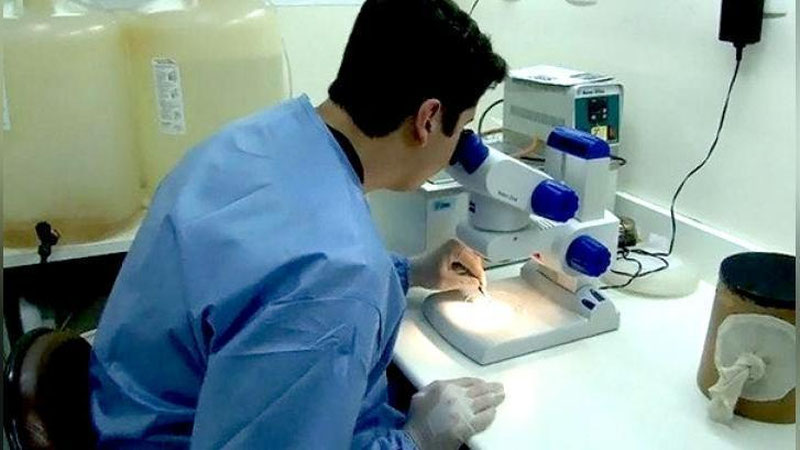 Изрображение 'В Америке выявили 14 новых случаев заражения вирусом Зика'