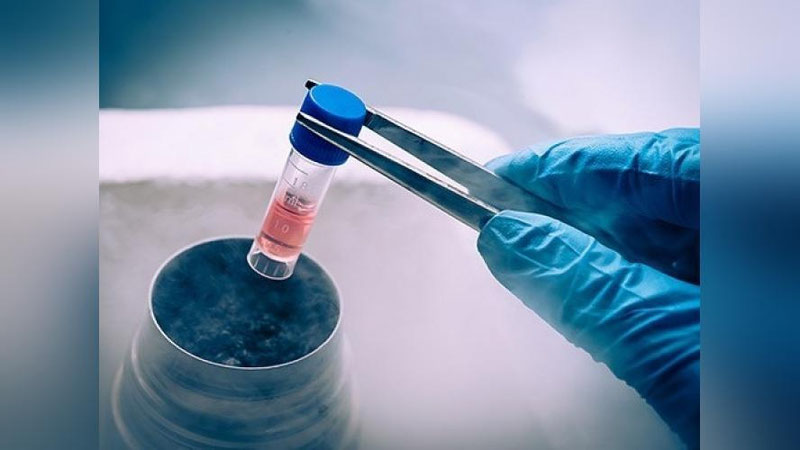 Изрображение 'В УЗБЕКИСТАНЕ ВПЕРВЫЕ ПРОВЕЛИ ОПЕРАЦИИ ПО ЛЕЧЕНИЮ ЛИМФОМЫ СТВОЛОВЫМИ КЛЕТКАМИ '