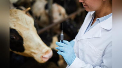 'Ветеринария хизмати мутахассисларининг малакасини ошириш бўйича давлат хизматлари кўрсатилади'ning rasmi