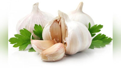 'NEVROZGA QARShI SARIMSOQPIYoZ  'ning rasmi