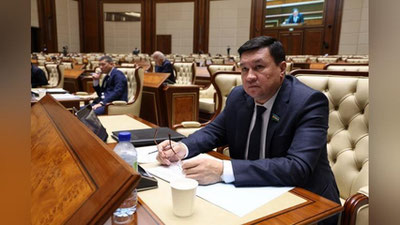 Изрображение 'Сенаторы одобрили усиление мер наказания за незаконную вырубку деревьев'