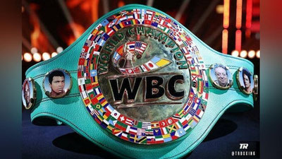 Изрображение 'Федерация профессионального бокса Узбекистана получила членство в WBC'