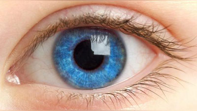 '​ФИНЛЯНДИЯЛИК ОЛИМЛАР КЎЗ ПАРДАСИНИ ИХТИРО ҚИЛИШДИ'ning rasmi