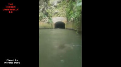 Изрображение 'ВО ВРЕМЯ ПРОГУЛКИ ПО КАНАЛУ В ПУЭРТО-РИКО НА ВИДЕО ПОПАЛО СТРАННОЕ СУЩЕСТВО'