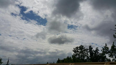 Изрображение 'ПОГОДА НА 20 АПРЕЛЯ: ДЕНЬ ТЕПЛЫЙ, НОЧЬ ХОЛОДНАЯ'