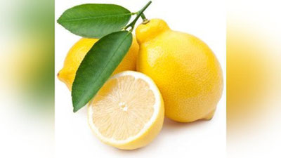 'PIShIRIQQA LIMON QO`ShMOQChIMISIZ? 'ning rasmi