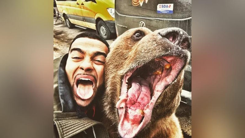 'INSTAGRAMDA HAYVONLAR BILAN SELFIGA TUShISh TA`QIQLANDI'ning rasmi