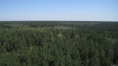 Изрображение 'СПЕЦНАЗОВЦЫ УЗБЕКИСТАНА И РОССИИ СОВЕРШИЛИ РЕКОРДНЫЙ ПЕШИЙ МАРШ'