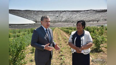 'Shavkat Mirziyoev: mehnat va xarajatga nisbatan ko`p daromad olish uchun ilm kerak'ning rasmi