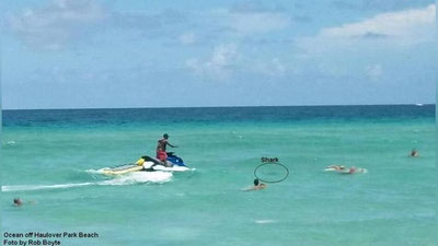 '​ФЛОРИДА ҚИРҒОҚЛАРИДА ЧЎМИЛАЁТГАН ЭРКАКНИНГ ОЁҒИНИ АКУЛА ТИШЛАДИ'ning rasmi