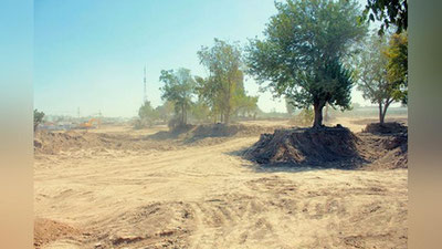 Изрображение 'ТАШКЕНТ БУДЕТ ОКРУЖЕН "ЗЕЛЕНЫМ ПОЯСОМ"'