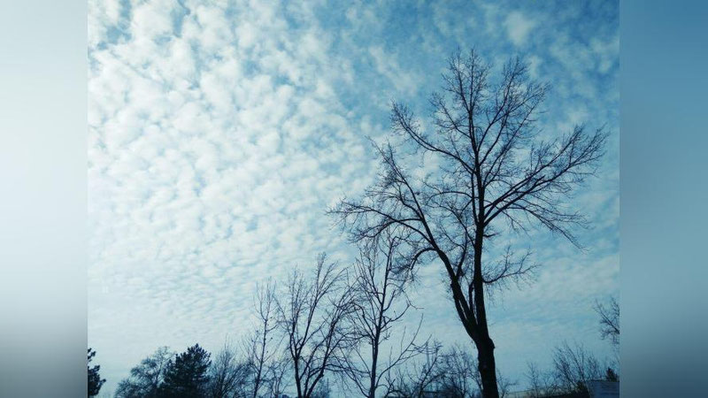 '21 февраль куни Ўзбекистонда кутилаётган об-ҳаво маълумоти'ning rasmi