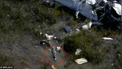 '​АЛЛИГАТОР БОТҚОҚҚА ҚУЛАГАН САМОЛЁТ УЧУВЧИСИНИ ЮТИБ ЮБОРДИ'ning rasmi