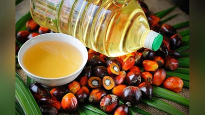 Изрображение 'ЧЕМ ОПАСНО ПАЛЬМОВОЕ МАСЛО? ОТВЕТЫ ГЛАВНОГО ДИЕТОЛОГА СТРАНЫ'