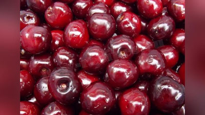 Изрображение 'УЗБЕКИСТАН ПОСТАВИЛ ПЕРВУЮ ПАРТИЮ ЧЕРЕШНИ В ЧЕЛЯБИНСК'