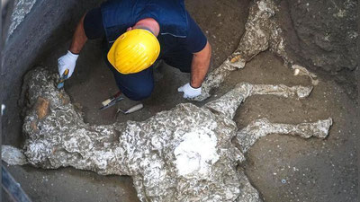 'Pompeyada otlarning qoldiqlari topildi 'ning rasmi