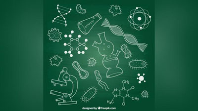 'Jizzaxda Abu Ali ibn Sino nomidagi biologiya olimpiadasi o`tkaziladi'ning rasmi