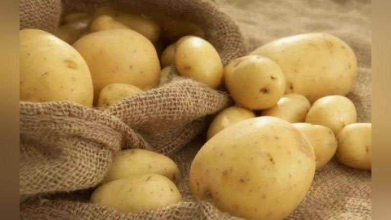 'Бу йил картошка арзон бўлади...ми?'ning rasmi