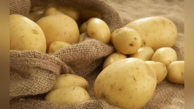 'Бу йил картошка арзон бўлади...ми?'ning rasmi