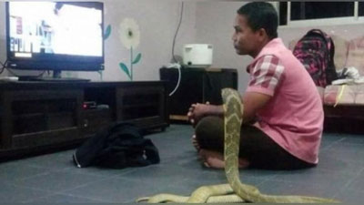 Изрображение 'ЖИТЕЛЬ ЮГО-ВОСТОЧНОЙ АЗИИ ЖЕНИЛСЯ НА КОБРЕ'