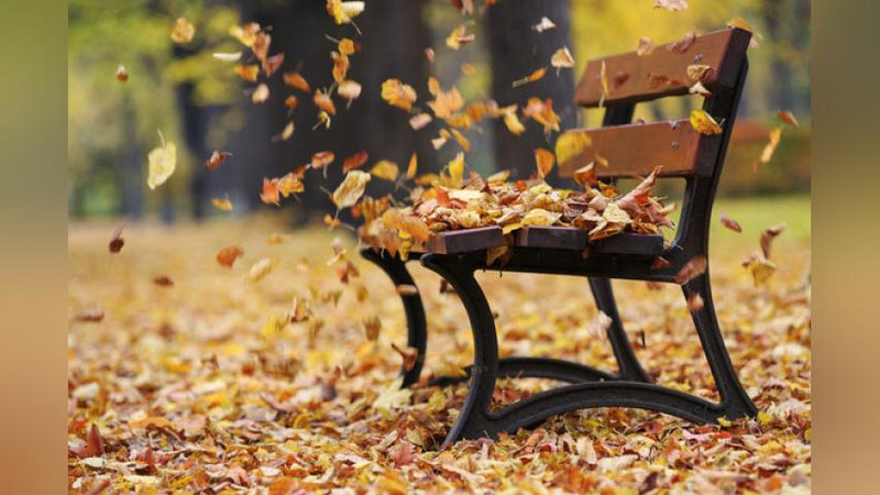 'O`ZBEKISTON FVV KUChLI ShAMOL HAQIDA OGOHLANTIRDI'ning rasmi