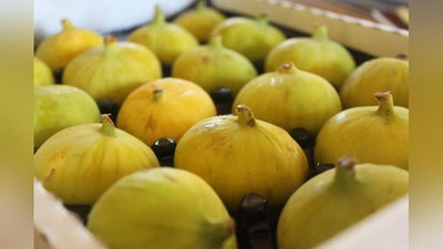 Изрображение 'Фестиваль инжира прошел в Самарканде (видео)'