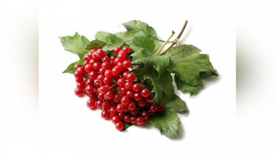 'МИНГ ДАРДГА ДАВО БОДРЕЗАК!'ning rasmi