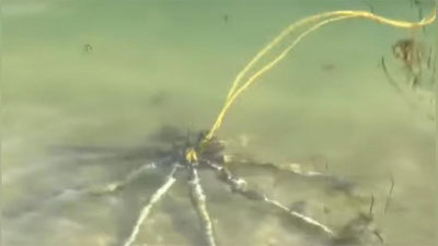 '​РОД-АЙЛЕНД ДЕНГИЗИДАН САККИЗТА МЕТАЛЛ “ОЁҚЛИ” СИРЛИ ЖИСМ ТОПИЛДИ (ВИДЕО)'ning rasmi