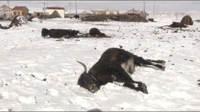 'Xitoyda sovuq ob-havo sharoiti hukm surmoqda 'ning rasmi