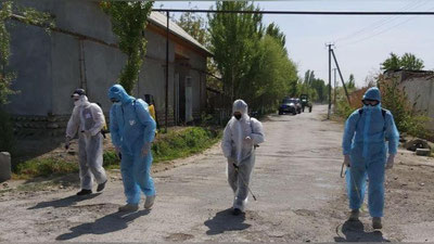 'O`zbekistonning 8 hududidan yana 287 kishida koronavirus aniqlandi'ning rasmi