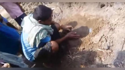 'ЎЙНАЁТГАН БОЛАЛАР ТУПРОҚ ТАГИДАН ТИРИК ЧАҚАЛОҚ ТОПИШДИ (ВИДЕО)'ning rasmi