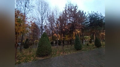 Изрображение 'В Ташкенте дождь, возможен переход в снег: погода на 19 декабря'