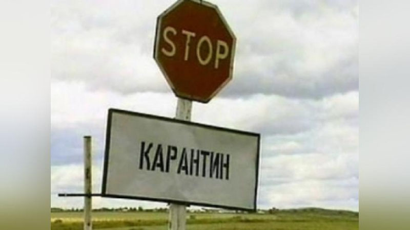 'Ўзбекистонда  23 нафар фуқаро карантин пайтида тўй ёки бошқа йиғинларни ўтказганликлари учун жавобгарликка тортилган'ning rasmi