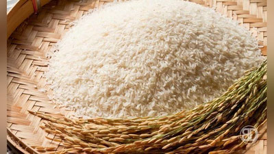 'Дунёда гуруч нархи кўтарилиши мумкин'ning rasmi