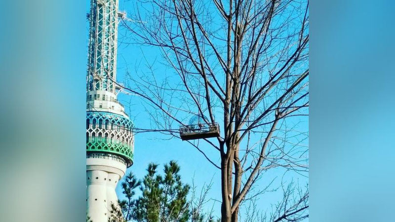 '14 mart kuni O`zbekistonda qanday ob-havo kuzatiladi?'ning rasmi