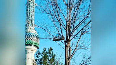 '​14 mart kuni O`zbekistonda qanday ob-havo kuzatiladi?'ning rasmi