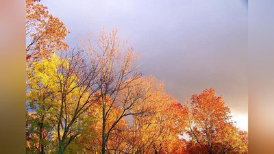 'Ertaga O`zbekistonning uchta hududida yomg`ir yog`ishi kutilmoqda'ning rasmi