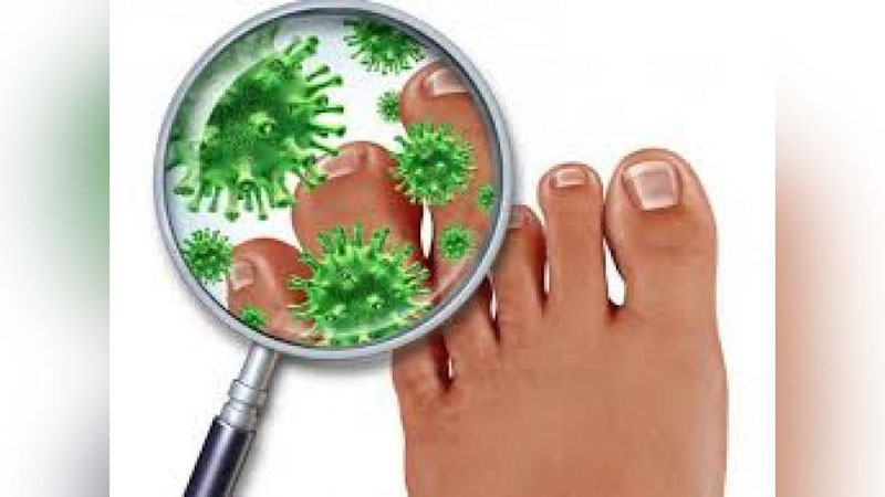 'Shifo maslahat: “ZAMBURUG` YuQTIRIB OLMADIMMIKAN?”'ning rasmi