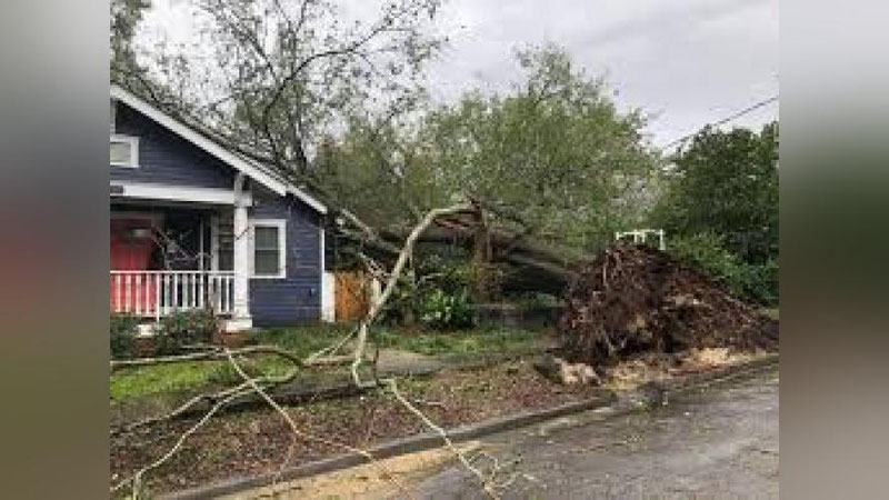 'AQShda 930 mingga yaqin odam elektr quvvatisiz qoldi'ning rasmi