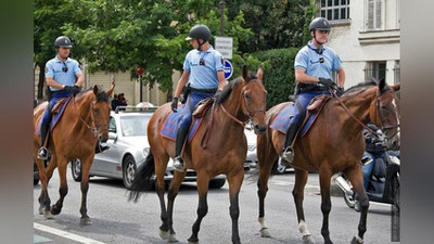Изрображение 'В ТАШКЕНТЕ ПОЯВИТСЯ КОННЫЙ ОТРЯД ГУВД'