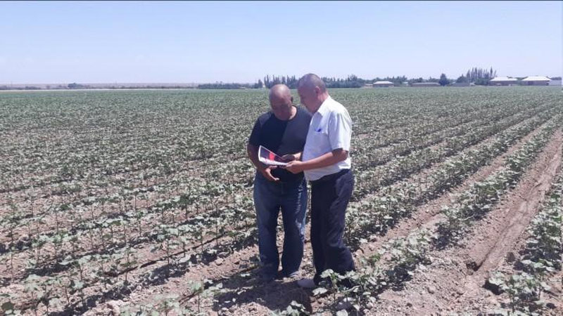 'Ayrim fermer xo`jaliklari ishchilarining mehnatga haq to`lash tarzidagi daromadlari qaytarib beriladi'ning rasmi