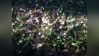 Изрображение 'ПОГОДА НА НЕДЕЛЮ: ПОСЛЕ РЕКОРДОВ ЖАРЫ НАС ЖДУТ МОРОЗЫ'