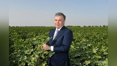 'Prezident sirdaryolik faollar bilan suhbatlashdi'ning rasmi