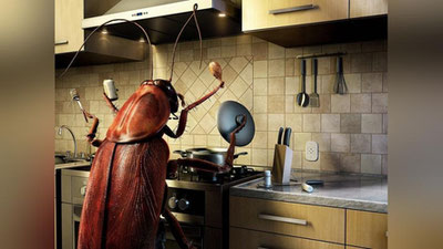 '​ОШХОНАДАН СУВАРАКЛАРНИ ҲАЙДАЙМИЗ!'ning rasmi