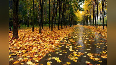 'Bu hafta oxiriga qadar kutilayotgan ob-havo haqida ma`lum qilindi'ning rasmi