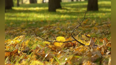 'Bugun O`zbekistonda qanday ob-havo kuzatilayotgani e`lon qilindi?'ning rasmi
