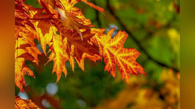 'Bugun ob-havo qanday bo`ladi?'ning rasmi