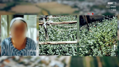 '“Qoradori 2021”: 264 kv metr er maydonidagi giyohvand o`simliklar yo`q qilindi'ning rasmi